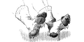Illustration for article titled The Graveyard Shift: Hot and Steamy Socks